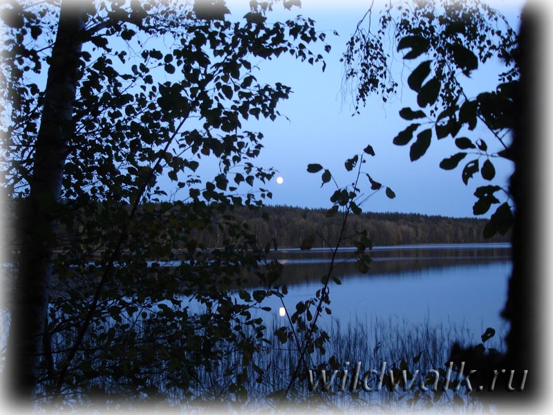 Лесное озеро под Приозерском. Вечер. Фото.