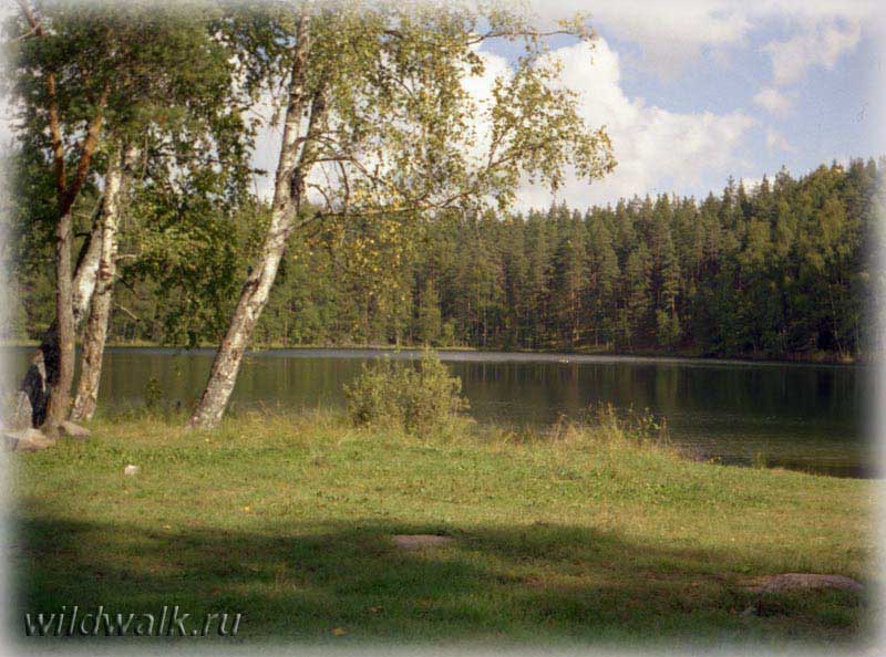 Шашлыки на берегу лесного озера. Фото.